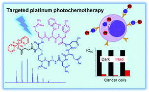 Graphical abstract: Photoactive platinum(iv) complex conjugated to a cancer-cell-targeting cyclic peptide