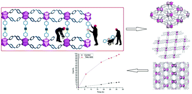 Graphical abstract: Solvent-assisted ligand exchange (SALE) for the enhancement of epoxide ring-opening reaction catalysis based on three amide-functionalized metal–organic frameworks