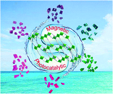 Graphical abstract: Metal-dependent photocatalytic activity and magnetic behaviour of a series of 3D Co–Ni metal organic frameworks