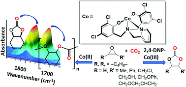 Graphical abstract: Cobalt amino-bis(phenolate) complexes for coupling and copolymerization of epoxides with carbon dioxide