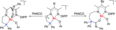 Graphical abstract: Scandium complexes containing β-diketiminato ligands with pendant phosphanyl groups: competition between Sc/γ-C [4 + 2] cycloaddition and Sc/P frustrated Lewis pair reactions