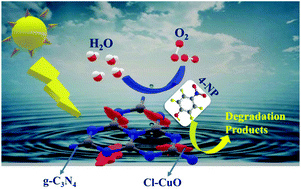 Graphical abstract: Photocatalytic 4-nitrophenol degradation and oxygen evolution reaction in CuO/g-C3N4 composites prepared by deep eutectic solvent-assisted chlorine doping