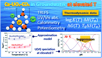 Graphical abstract: Formation of CaUO2(CO3)32− and Ca2UO2(CO3)3(aq) complexes at variable temperatures (10–70 °C)