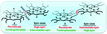 Graphical abstract: Equatorial ligand plane perturbations lead to a spin-state change in an iron(iii) porphyrin dimer