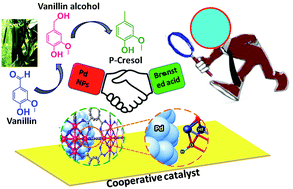 Graphical abstract: Cooperative catalysis at the metal–MOF interface: hydrodeoxygenation of vanillin over Pd nanoparticles covered with a UiO-66(Hf) MOF