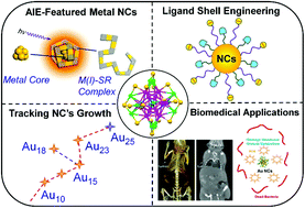 Graphical abstract: Water-soluble metal nanoclusters: recent advances in molecular-level exploration and biomedical applications