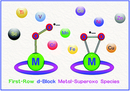 Graphical abstract: Structure and reactivity of the first-row d-block metal-superoxo complexes