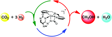 Graphical abstract: Computational prediction of pentadentate iron and cobalt complexes as a mimic of mono-iron hydrogenase for the hydrogenation of carbon dioxide to methanol