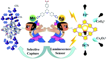 Graphical abstract: Two novel metal–organic frameworks based on pyridyl-imidazole-carboxyl multifunctional ligand: selective CO2 capture and multiresponsive luminescence sensor