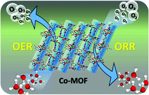 Graphical abstract: A cobalt metal–organic framework (Co-MOF): a bi-functional electro active material for the oxygen evolution and reduction reaction