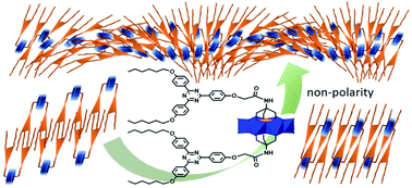 Graphical abstract: From achiral to helical bilayer self-assemblies of a 1,3,5-triazine-2,4,6-triphenol-grafted polyanionic cluster: countercation and solvent modulation