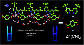 Graphical abstract: A sensitive photoluminescent chemosensor for cyanide in water based on a zinc coordination polymer bearing ditert-butyl-bipyridine