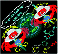 Graphical abstract: Probing through-space and through-bond magnetic exchange couplings in a new benzotriazinyl radical and its metal complexes