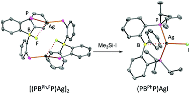 Graphical abstract: Silver halide complexes of a borane/bis(phosphine) ligand