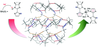 Graphical abstract: Mononuclear manganese(iii) complexes with reduced imino nitroxide radicals by single-electron transfer and intermolecular hydrogen bonds as an intramolecular structural driving force