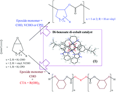 Graphical abstract: Synthesis and characterization of di-nuclear bis(benzotriazole iminophenolate) cobalt complexes: catalysis for the copolymerization of carbon dioxide with epoxides