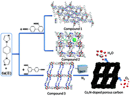 Graphical abstract: Three 3D Co(ii) cluster-based MOFs constructed from polycarboxylate acids and bis(imidazole) ligands and their derivatives: magnetic properties and catalytic performance for the ORR