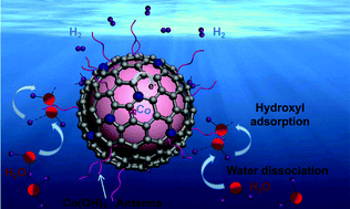 Graphical abstract: In situ formed oxy/hydroxide antennas accelerating the water dissociation kinetics on a Co@N-doped carbon core–shell assembly for hydrogen production in alkaline solution