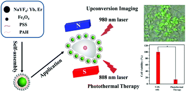 Graphical abstract: Multifunctional NaYF4:Yb,Er@PE3@Fe3O4 nanocomposites for magnetic-field-assisted upconversion imaging guided photothermal therapy of cancer cells