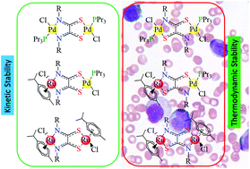 Graphical abstract: Ruthenium(ii) and palladium(ii) homo- and heterobimetallic complexes: synthesis, crystal structures, theoretical calculations and biological studies