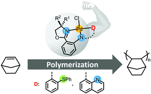 Graphical abstract: Tridentate diarylamido-based pincer complexes of nickel and palladium: sidearm effects in the polymerization of norbornene