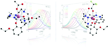 Graphical abstract: Comparison of two field-induced ErIII single ion magnets
