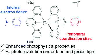 Graphical abstract: Heteroleptic ruthenium bis-terpyridine complexes bearing a 4-(dimethylamino)phenyl donor and free coordination sites for hydrogen photo-evolution
