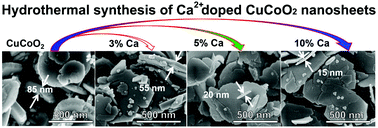 Graphical abstract: Investigation of the structural, optical and electrical properties of Ca2+ doped CuCoO2 nanosheets