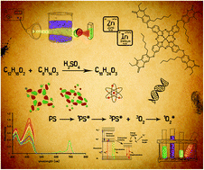 Graphical abstract: Synthesis and characterization of novel 7-oxy-3-ethyl-6-hexyl-4-methylcoumarin substituted metallo phthalocyanines and investigation of their photophysical and photochemical properties