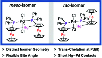 Graphical abstract: Diferrocenylmercury diphosphine diastereomers with unique geometries: trans-chelation at Pd(ii) with short Hg(ii)⋯Pd(ii) contacts