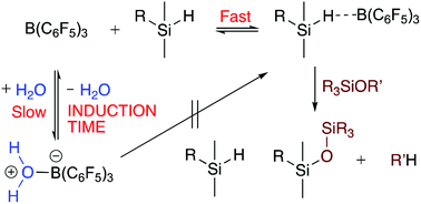 Graphical abstract: Trace water affects tris(pentafluorophenyl)borane catalytic activity in the Piers–Rubinsztajn reaction
