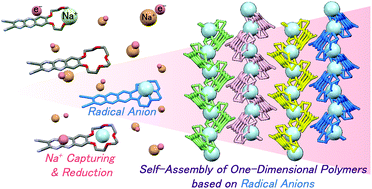 Graphical abstract: One-dimensional single-helix coordination polymer self-assembled by a crown-ether appended-N-heteroacene radical anion