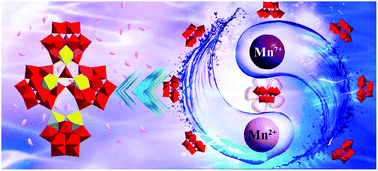 Graphical abstract: A new octa-Mn-substituted poly(polyoxotungstate)