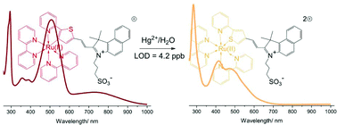 Graphical abstract: A highly sensitive and selective colorimetric probe based on a cycloruthenated complex: an Hg2+-promoted switch of thiophene coordination