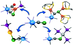 Graphical abstract: New binding modes for CSe: coinage metal coordination to a tungsten selenocarbonyl complex