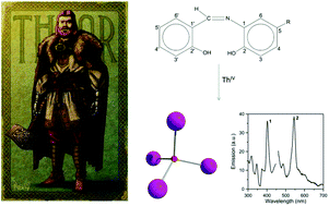 Graphical abstract: Tetranuclear oxido-bridged thorium(iv) clusters obtained using tridentate Schiff bases