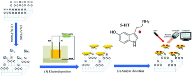 Graphical abstract: Hierarchical Au nanoclusters electrodeposited on amine-terminated ITO glass as a SERS-active substrate for the reliable and sensitive detection of serotonin in a Tris-HCl buffer solution