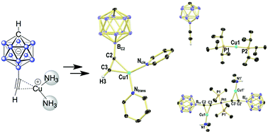 Graphical abstract: The 12-ethynylmonocarba-closo-dodecaborate anion as a versatile ligand for Cu(i) alkyne and heterobimetallic Cu(i)/M(ii) (M = Pd, Pt) alkynide complexes