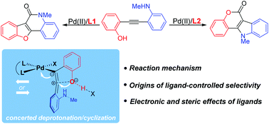 Graphical abstract: Mechanism and origins of ligand-controlled Pd(ii)-catalyzed regiodivergent carbonylation of alkynes