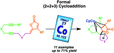 Graphical abstract: When cobalt-mediated [2 + 2 + 2] cycloaddition reaction dares go astray: synthesis of unprecedented cobalt(iii)-complexes