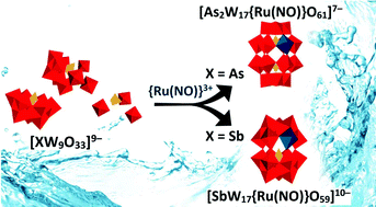 Graphical abstract: Reactions of [Ru(NO)Cl5]2− with pseudotrilacunary {XW9O33}9− (X = AsIII, SbIII) anions