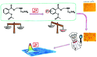 Graphical abstract: Fluorination as tool to improve bioanalytical sensitivity and COX-2-selective antitumor activity of cobalt alkyne complexes