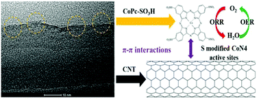 Graphical abstract: A sulfonated cobalt phthalocyanine/carbon nanotube hybrid as a bifunctional oxygen electrocatalyst