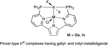 Graphical abstract: Synthesis, structure, and reactivity of pincer-type iridium complexes having gallyl- and indyl-metalloligands utilizing 2,5-bis(6-phosphino-2-pyridyl)pyrrolide as a new scaffold for metal–metal bonds
