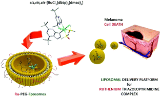 Graphical abstract: Nanoencapsulation of a ruthenium(ii) complex with triazolopyrimidine in liposomes as a tool for improving its anticancer activity against melanoma cell lines