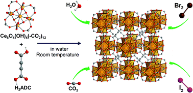 Graphical abstract: Acetylenedicarboxylate-based cerium(iv) metal–organic framework with fcu topology: a potential material for air cleaning from toxic halogen vapors