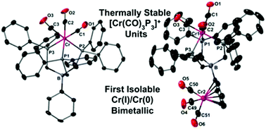 Graphical abstract: Seventeen-electron chromium(i)tricarbonyltris(phosphine) complexes supported by tris(phosphinomethyl)phenylborates
