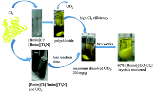 Graphical abstract: Ionic liquids with polychloride anions as effective oxidants for the dissolution of UO2