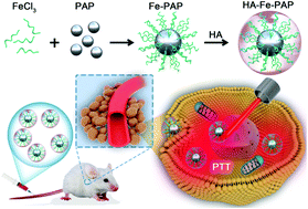 Graphical abstract: Facile synthesis of Fe-p-aminophenol nanoparticles for photothermal therapy