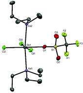 Graphical abstract: Neutral and cationic phosphine and arsine complexes of tin(iv) halides: synthesis, properties, structures and anion influence